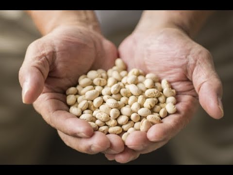 【ついに開封】9か月前に作った味噌の蓋開けてみる【にじさんじ】