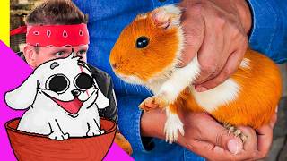 Huntleo reacciona a "¡Probando la comida extrema de Perú! ¡Carne Exóti