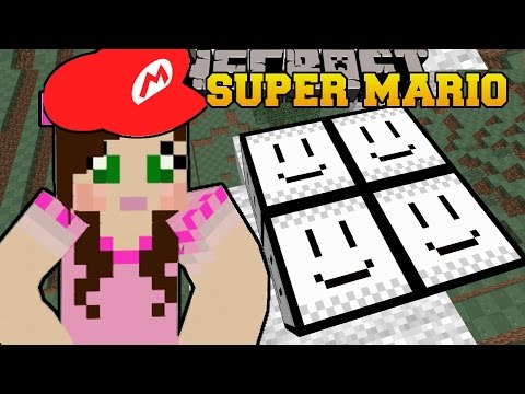Minecraft: MISSION TO SAVE THE PRINCESS! - SUPER MARIO BROS - Custom Map - UCpGdL9Sn3Q5YWUH2DVUW1Ug