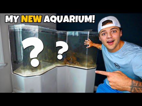 Building NEW 150G AQUARIUM at New Shop!! Today we set up my New 150G freshwater tank inside the new 4,000sqft office space I just got! Tommy 