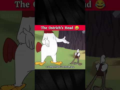 The Ostrich's Head 😂