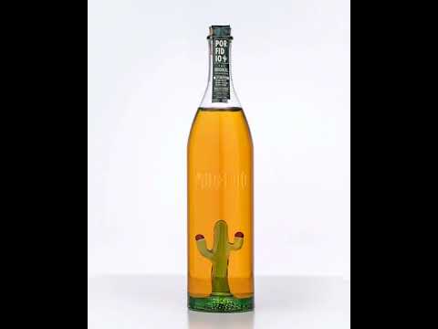 Porfidio Cactus Bottle (The Original)