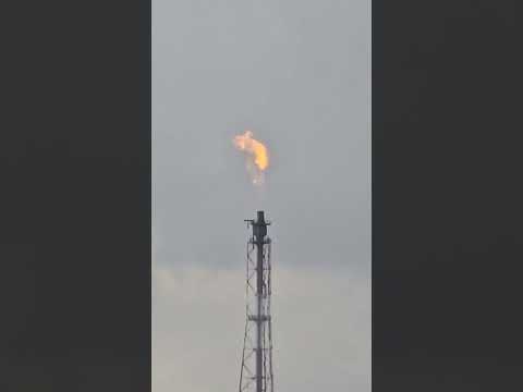 Mipo's daily life  -  99