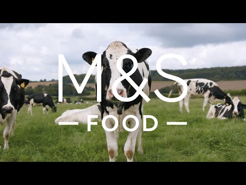 100% RSPCA Assured Milk | Episode 2 | Fresh Market Update | M&S FOOD