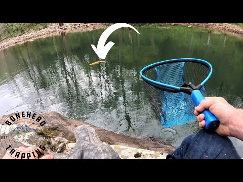 Trout Fishing The Elk River In West Virginia 2025