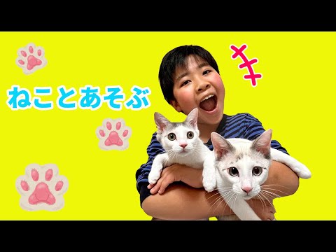 かいちゃんが子猫のお世話をしたよ　猫じゃらしで遊んでちゅーるをあげよう❤