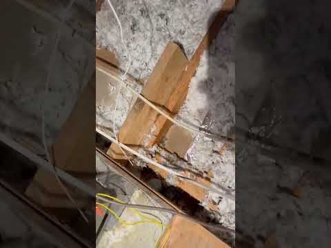 Jobs with Jonathan:💧Condensate Leak Found