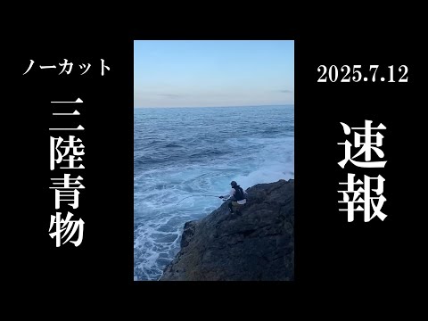 【2025青物速報】いま大きいのが回遊してます。三陸つりしとがんせ vol 93