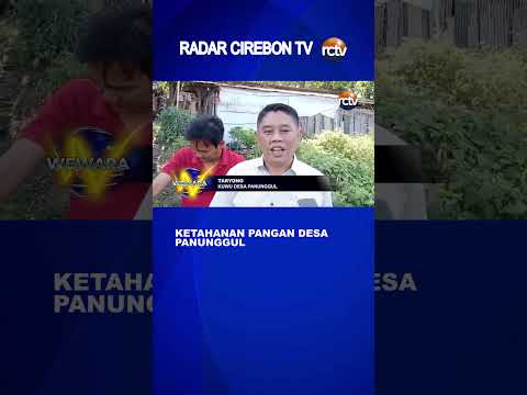 Ketahanan Pangan Desa Panunggul