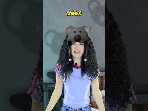 Koala Kid: 99 Nights in the Forest