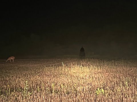THE BUILD FINALE?【GROUNDED】