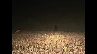THE BUILD FINALE?【GROUNDED】