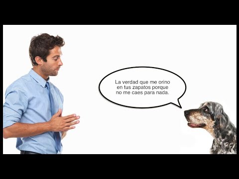 ¿Podremos algún día hablar con otros animales?