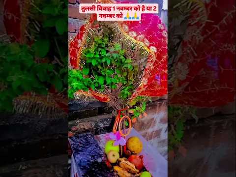 !! तुलसी विवाह 1 नवम्बर को है या 2 नवम्बर को🙏!! #shortvideo#viralshorts #trendingshorts #bhaktireels
