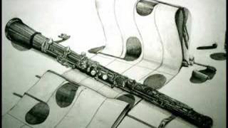 Tomaso Albinoni - Concerto Op. 9/2 in d minor (2/3) [Adagio]