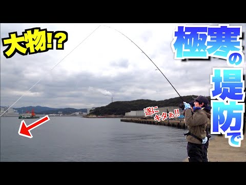 冬の堤防で〇〇を狙っていたらあの魚が・・・！？