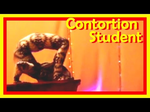 Contortionist In A Fantastic Creature Suit Contortionist In A Fantastic Creature Suit