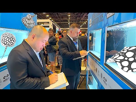 “WHAT It’s Like JUDGING a $100,000 STINGRAY Co We flew all the way to Singapore to judge one of the world’s most prestigious stingray competition