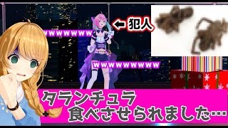 【超秘蔵映像】タランチュラを食べさせられた事件【クレア先生 / 桜樹みりあ】