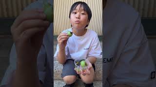 動画サムネイル