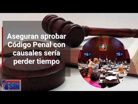 Aseguran aprobar Código Penal con causales sería perder tiempo