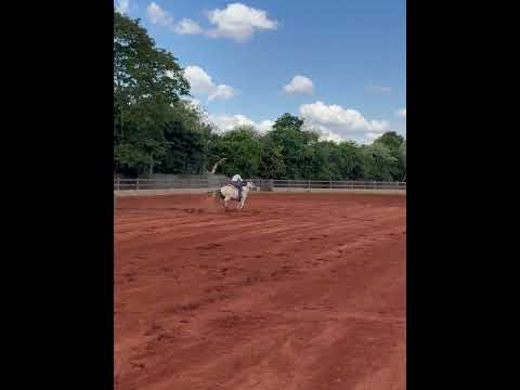 ANA CASTELA TREINANDO TRÊS TAMBORES #anacastela #boiadeira #shortbrasil #shorts #trêstambores