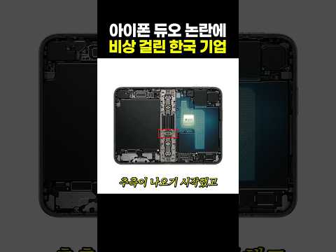 <strong>아이폰</strong> 듀오 논란에 비상 걸린 <strong>한국</strong> 기업