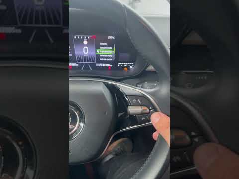 In quale modo si pu� spegnere la spia del Service, nella Skoda Fabia?