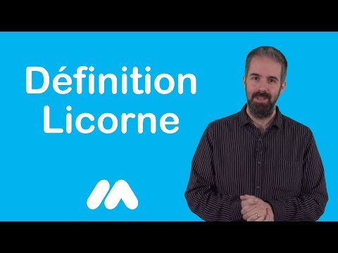 Définition Licorne - Vidéos formation - Tutoriel vidéos - Market Academy par Guillaume Sanchez