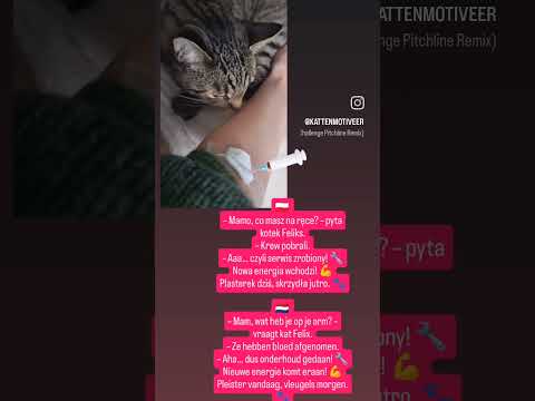 Mam, wat heb je op je arm? – vraagt kat Felix.– Ze hebben bloed afgenomen.– 💉 🩸🐾#bloed #dc #felix