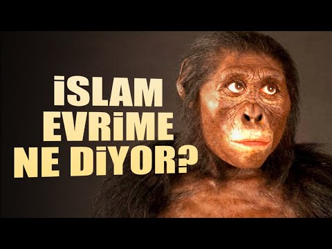 İslam, Evrim Teorisi İçin Ne Diyor?