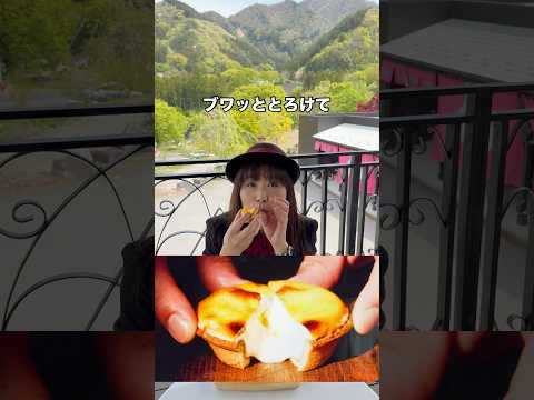 【みなかみ焼きたてチーズタルト】特製チーズムースのタルトや季節限定タルトが美味しい!谷川岳からイメージしたオリジナルキャラクターが最高🩷#ジャック・ザ・タルトファンタジー