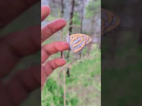 #funny #comedy #viral #shorts #trendingshorts #funny #comedy #newsong #jaishreeram #jaimatadi #modi