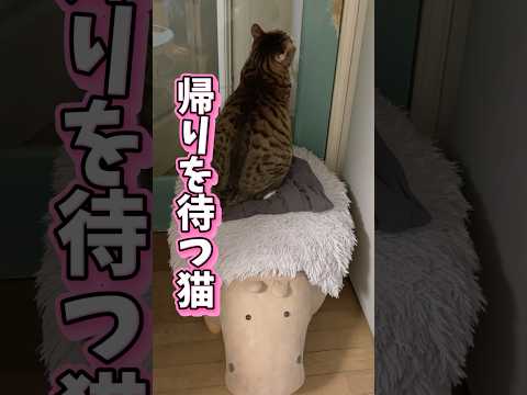 三男のバイク合宿でQちゃんの様子に注目 サムネイル
