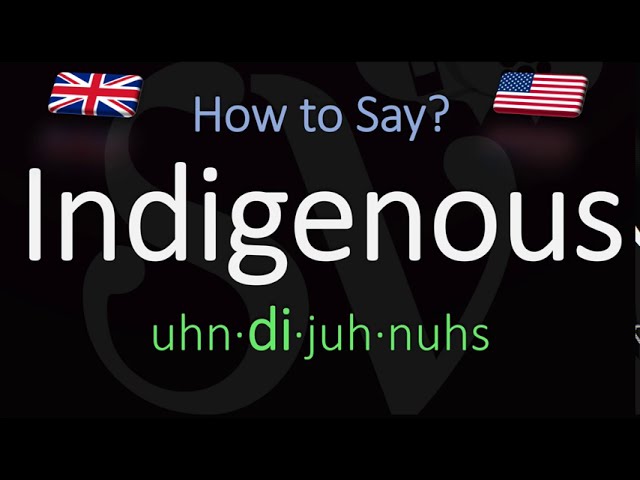 How Do You Pronounce Indigenous In Spanish