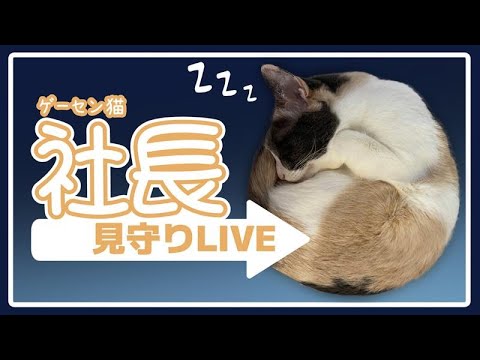 thumbnail_sKoj-mkiJcY