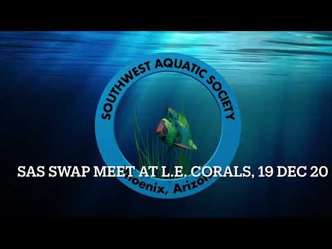 December Swap Meet at LE Corals 