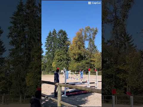 💎💎 #horse #horsetraining