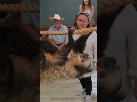 Wild Encounters Experience