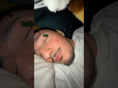 « CLOSER » is OUT NOW go listen it !! Meow 🐱