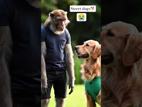 "Bantoo Bhai Meets Dogesh Bhai 🫂😰 Stray Dogs 🐶🐕" #voiceofstrays #straydogs #monkeyvlog