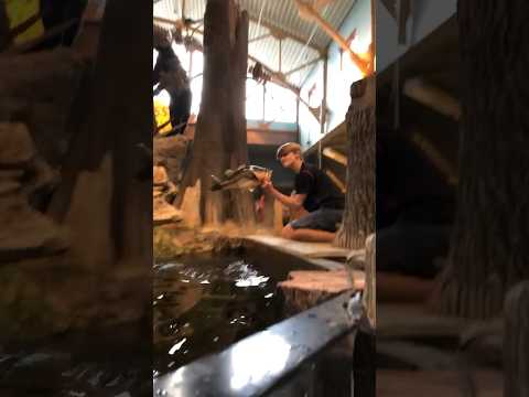 Giant bass out of the BASS PRO fish tank 😂 video thumbnail