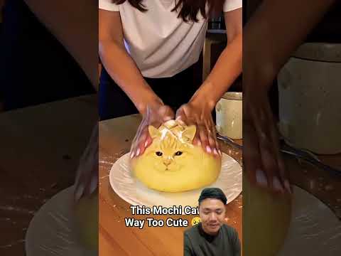 Roti bentuk kucing⁉️