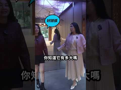 陶朱隱園開箱，電梯裡能開跑車？頂樓直擊101