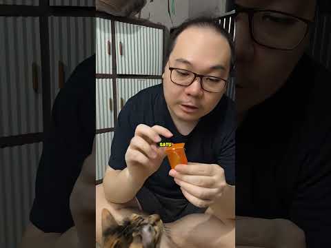 review tetes kutu kucing fipronil spot on puainta