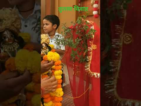 तुलसा विवाह सरल विधि 💕🙏🌹 #bhakti #shyamjibhakti #laddu #shyamkripa #shyam #love 🙏🙏💕🥰🌹🙏