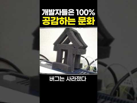 개발자들은 100% 공감하는 문화