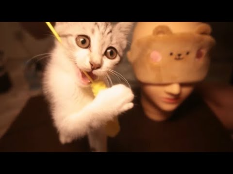 【音フェチ放送】やってものおやすみ放送＃１３５　猫ちゃんをどうするか決めました！　※イヤホン推奨