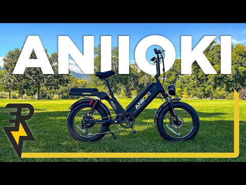 The Ultimate Delivery Ebike? | Aniioki AQ177 Pro Max Review