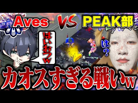 Aves対PEAK部の頂上決戦!!ファン集めて戦わせたら衝撃の展開に…【荒野行動】